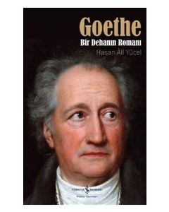 Goethe : Bir Dehanın Romanı