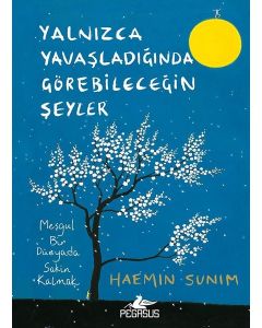 Yalnızca Yavaşladığında Görebileceğin Şeyler