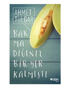 Bakmadığınız Bir Yer Kalmıştı