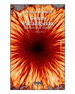 Güneş Patladığında - Şizofreninin Gizemi