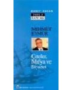 Çeteler, Mafya ve Siyaset