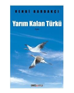 Yarım Kalan Türkü