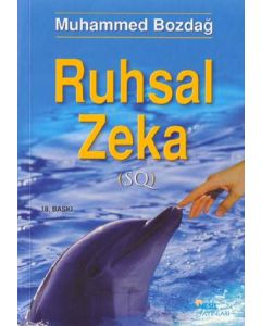 Ruhsal Zeka