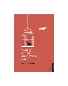 Yanlış Giden Bir Şeyler Var