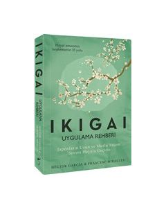 Ikigai - Uygulama Rehberi 