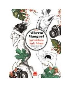 Ayrıntılara Aşık Adam