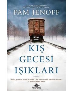 Kış Gecesi Işıkları