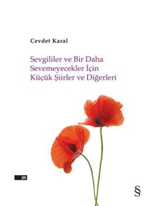 Sevgililer ve Bir Daha Sevemeyecekler İçin Küçük Şiirler ve Diğerleri 