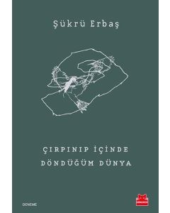 Çırpınıp İçinde Döndüğüm Dünya