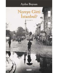 Nereye Gitti İstanbul?