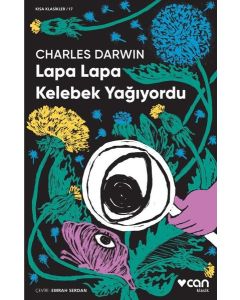 Lapa Lapa Kelebek Yağıyordu