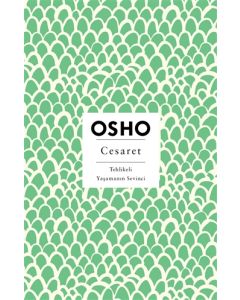 Cesaret - Tehlikeli Yaşamanın Sevinci