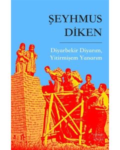 Diyarbekir Diyarım, Yitirmişem Yanarım