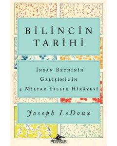 Bilincin Tarihi: İnsan Beyninin Gelişiminin 4 Milyar Yıllık Hikayesi