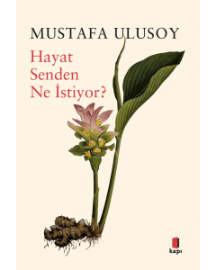 Hayat Senden Ne İstiyor?