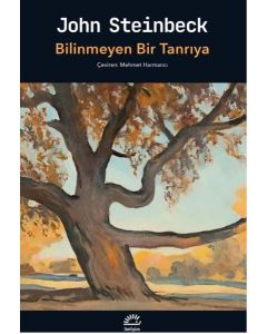 Bilinmeyen Bir Tanrıya