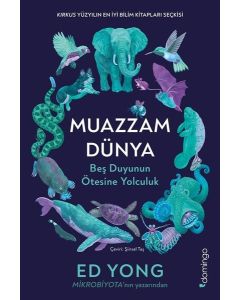 Muazzam Dünya: Beş Duyunun Ötesine Yolculuk