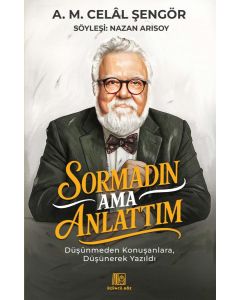 Sormadın Ama Anlattım