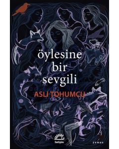 Öylesine Bir Sevgili