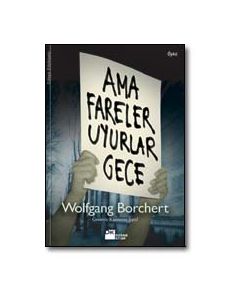 Ama Fareler Uyurlar Gece