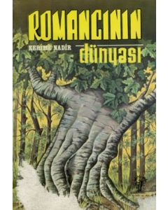 Romancinin Dünyasi