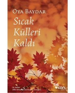 Sıcak Külleri Kaldı