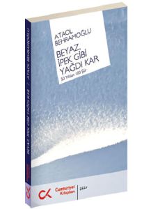 Beyaz İpek Gibi Yağdı Kar